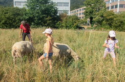 Ein Tag auf dem Bauernhof mit dem Zürcher Tierschutz