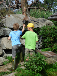 Affenfrühstück im Kinderzoo