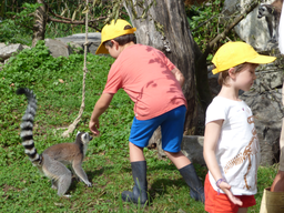 Affenfrühstück im Kinderzoo