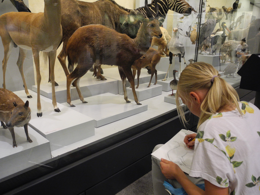
            
              
              
              
    

            
          
        

        

        
          
            
                
                  
                    
        Schau genau! Tiere zeichnen im Zoologischen Museum