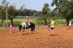 Auf dem KiTi-Hof in Baar