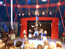 Circolino Pipistrello: Die Show