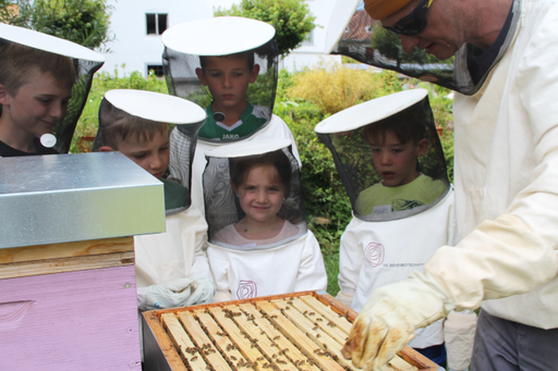 Erlebnisnachmittag: Faszination Bienenwelt