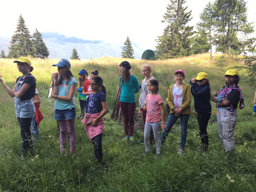 Mädchenpower auf der Alp