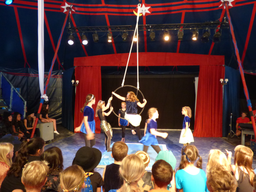 Circolino Pipistrello: Die Show