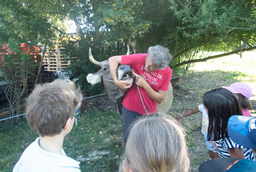 Ein Tag auf dem Bauernhof mit dem Zürcher Tierschutz