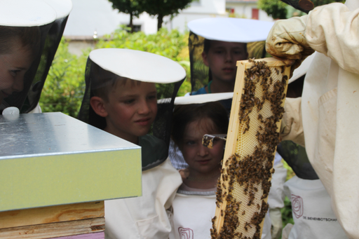 Erlebnisnachmittag: Faszination Bienenwelt