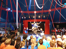 Circolino Pipistrello: Die Show
