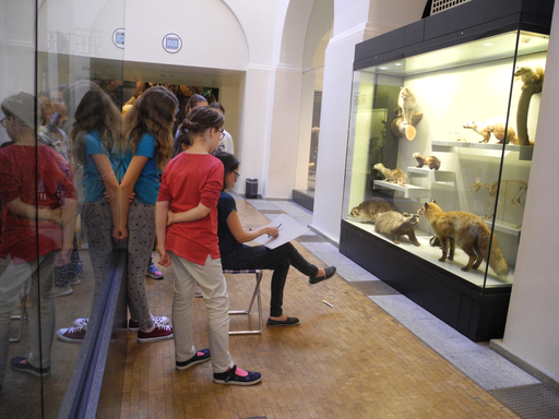 
            
              
              
              
    

            
          
        

        

        
          
            
                
                  
                    
        Schau genau! Tiere zeichnen im Zoologischen Museum