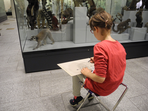 
            
              
              
              
    

            
          
        

        

        
          
            
                
                  
                    
        Schau genau! Tiere zeichnen im Zoologischen Museum