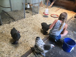 Tierpflegewoche im Chrüzacher