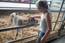 Abenteuerwoche für Tierfreunde mit dem Zürcher Tierschutz