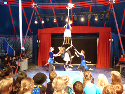 Circolino Pipistrello: Die Show