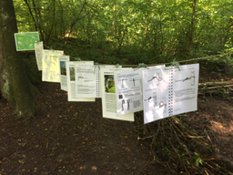 Ferien im Wald