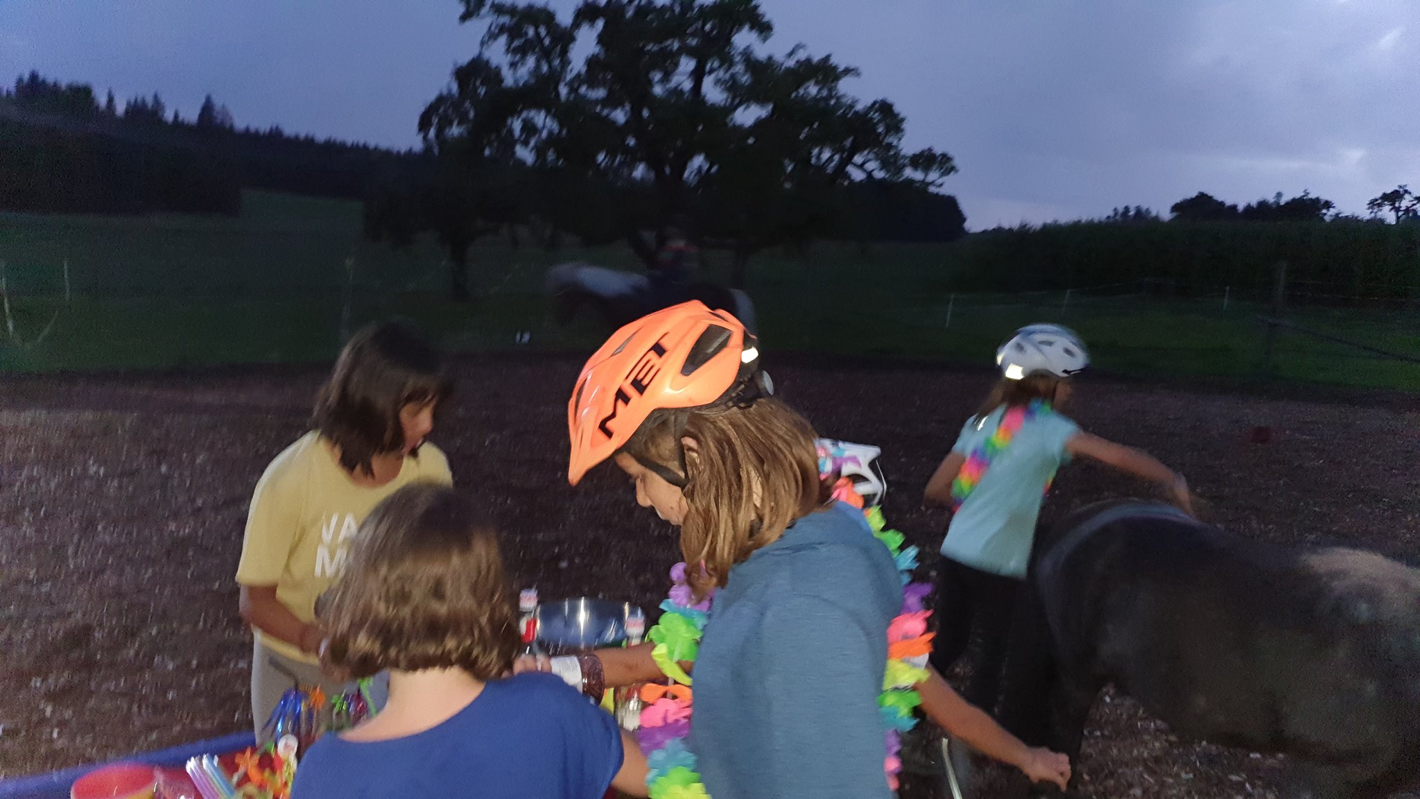 Reitlager auf dem Kiti-Hof