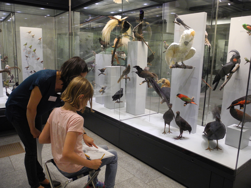 
            
              
              
              
    

            
          
        

        

        
          
            
                
                  
                    
        Schau genau! Tiere zeichnen im Zoologischen Museum