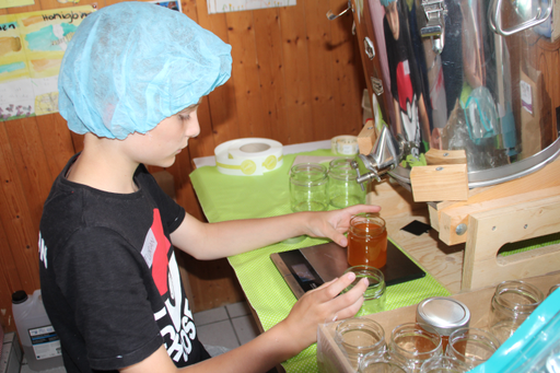 Erlebnisnachmittag: Faszination Bienenwelt