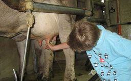 Abenteuerwoche für Tierfreunde mit dem Zürcher Tierschutz