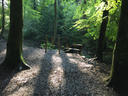 Ferien im Wald - das Plätzli
