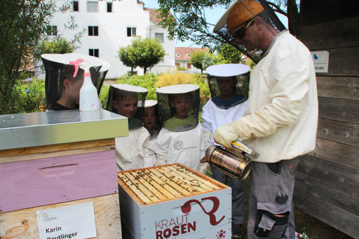 Erlebnisnachmittag: Faszination Bienenwelt