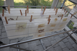 Papierschöpfen mit Naturmaterialien mit selbst gebautem Schöpfrahmen
