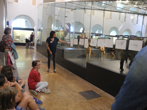
            
              
              
              
    

            
          
        

        

        
          
            
                
                  
                    
        Schau genau! Tiere zeichnen im Zoologischen Museum