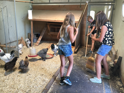 Tierpflegewoche im Chrüzacher
