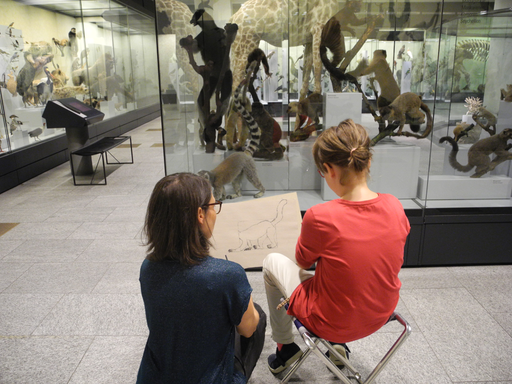 
            
              
              
              
    

            
          
        

        

        
          
            
                
                  
                    
        Schau genau! Tiere zeichnen im Zoologischen Museum