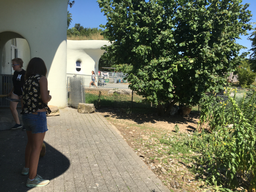 Tierpflegewoche im Chrüzacher