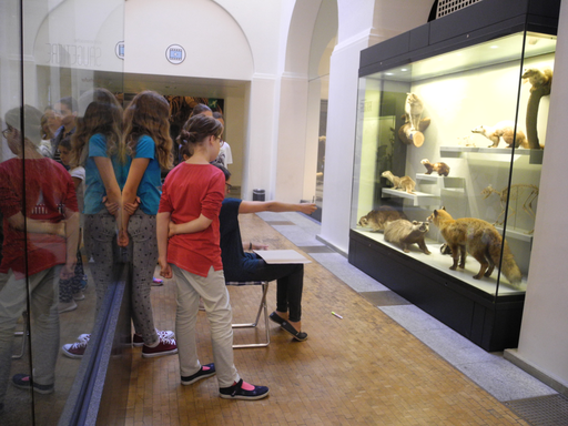 
            
              
              
              
    

            
          
        

        

        
          
            
                
                  
                    
        Schau genau! Tiere zeichnen im Zoologischen Museum