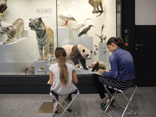 
            
              
              
              
    

            
          
        

        

        
          
            
                
                  
                    
        Schau genau! Tiere zeichnen im Zoologischen Museum