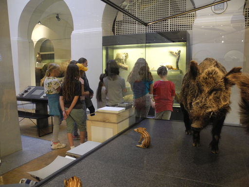 
            
              
              
              
    

            
          
        

        

        
          
            
                
                  
                    
        Schau genau! Tiere zeichnen im Zoologischen Museum