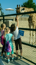 Kinderzoo