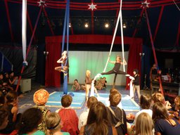 Circolino Pipistrello: Show