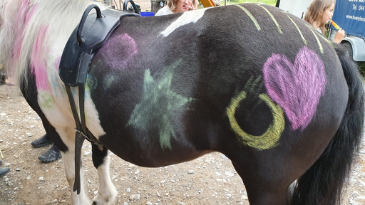 Reitlager auf dem Kiti-Hof