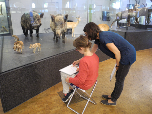 
            
              
              
              
    

            
          
        

        

        
          
            
                
                  
                    
        Schau genau! Tiere zeichnen im Zoologischen Museum
