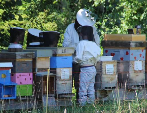 Erlebnisnachmittag: Faszination Bienenwelt