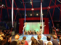 Circolino Pipistrello: Show