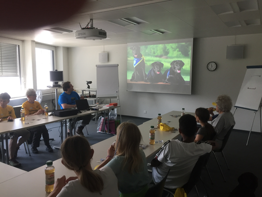 Blinde Menschen und ihre treuen Begleiter