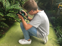 Fotosafari 