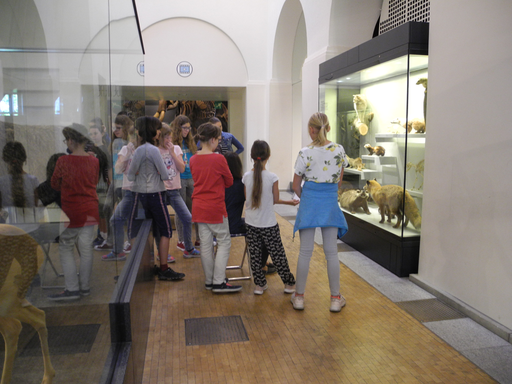
            
              
              
              
    

            
          
        

        

        
          
            
                
                  
                    
        Schau genau! Tiere zeichnen im Zoologischen Museum