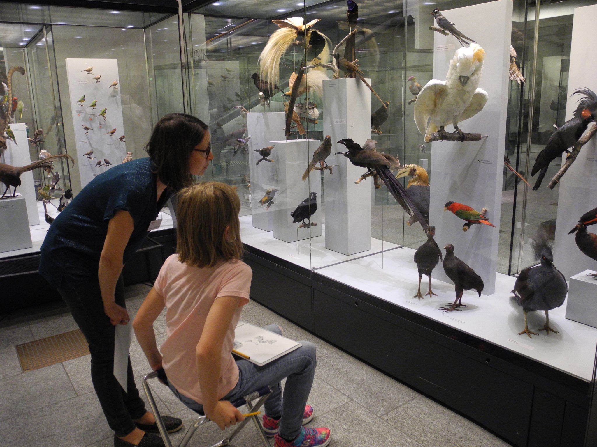 
            
              
              
              
    

            
          
        

        

        
          
            
                
                  
                    
        Schau genau! Tiere zeichnen im Zoologischen Museum