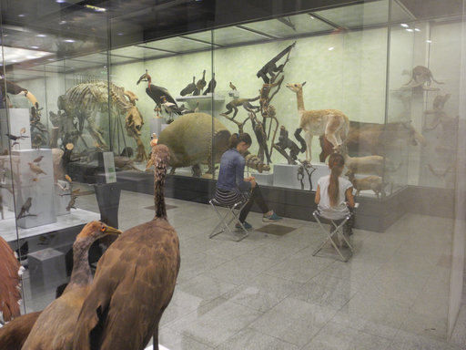 
            
              
              
              
    

            
          
        

        

        
          
            
                
                  
                    
        Schau genau! Tiere zeichnen im Zoologischen Museum
