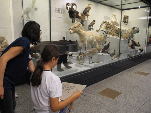 
            
              
              
              
    

            
          
        

        

        
          
            
                
                  
                    
        Schau genau! Tiere zeichnen im Zoologischen Museum
