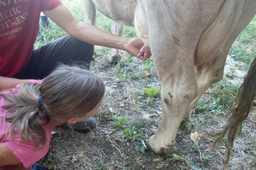 Ein Tag auf dem Bauernhof mit dem Zürcher Tierschutz