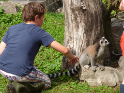 Affenfrühstück im Kinderzoo