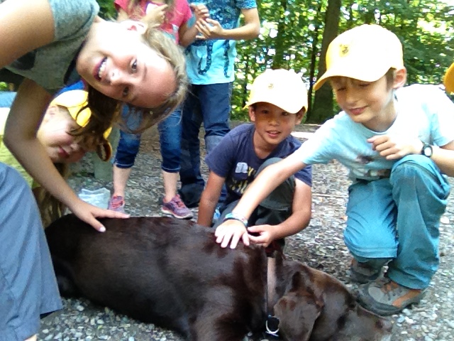 Blinde Menschen und ihre treuen Begleiter