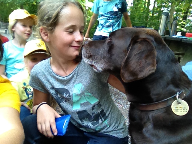 Blinde Menschen und ihre treuen Begleiter